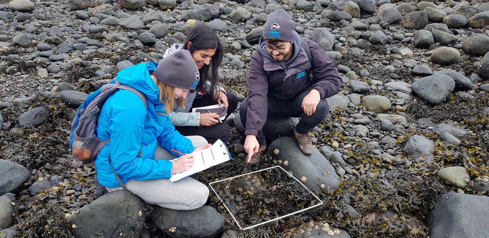 [Shoresearch plan image]