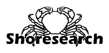 [Shoresearch logo]