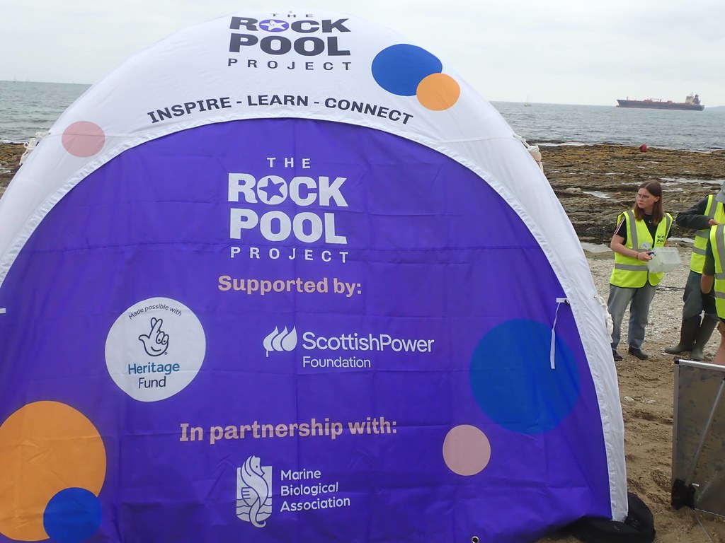 [The Rock Pool Project plan image]