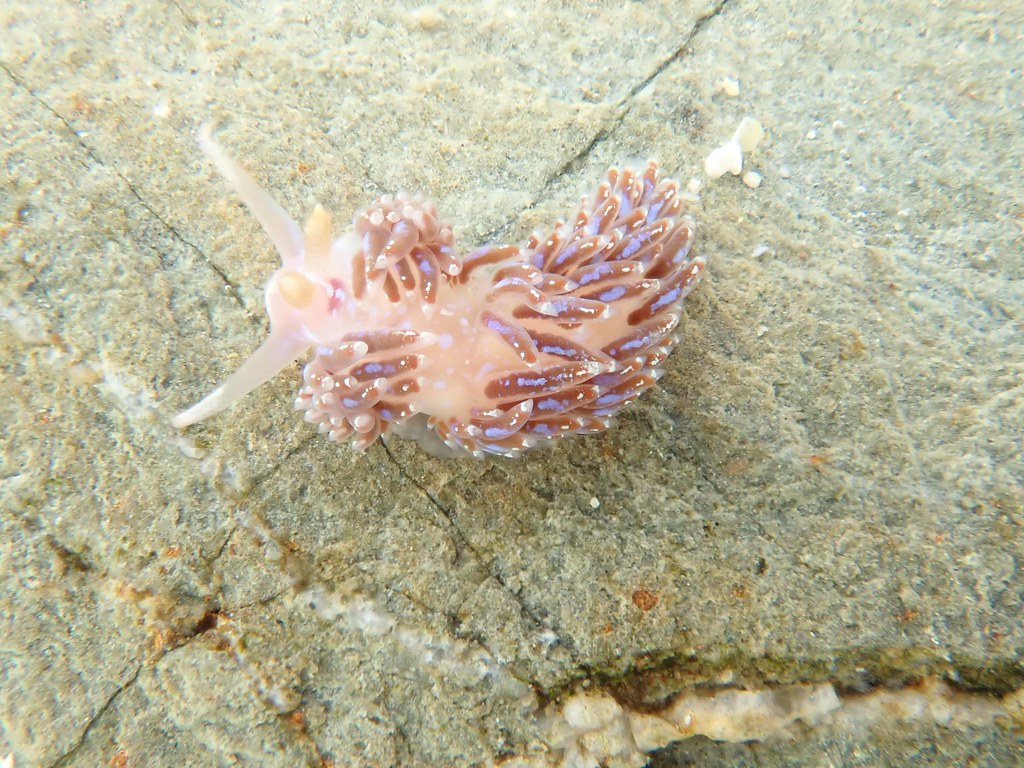 [The Rock Pool Project preserve image]