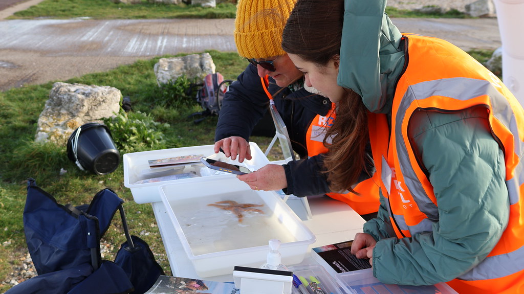 [The Rock Pool Project process image]