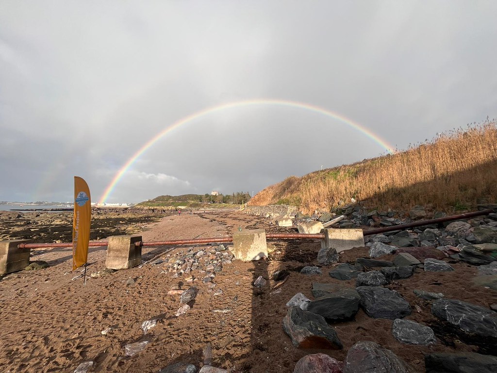 [The Rock Pool Project sharing image]