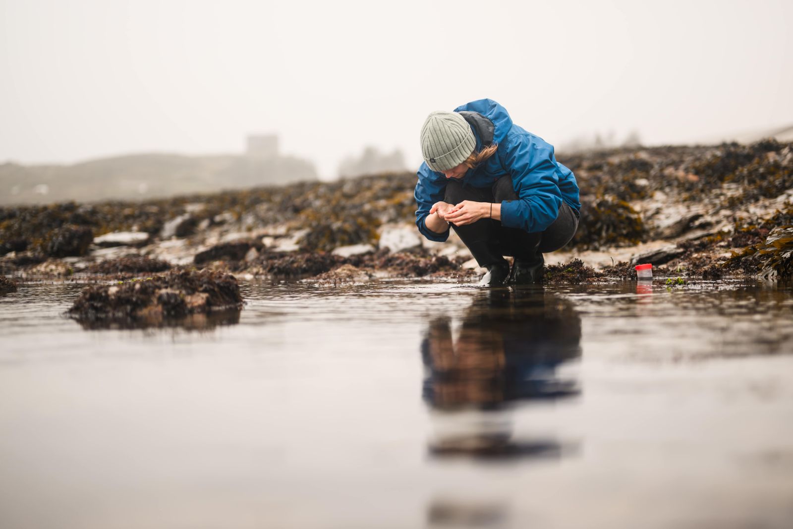 [Shoresearch collect image]