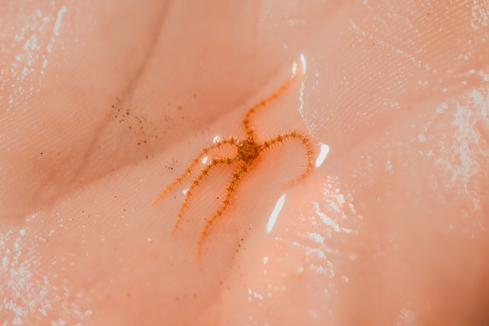 [Shoresearch sharing image]