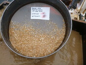 413984 G3A Sieve 1mm.JPG