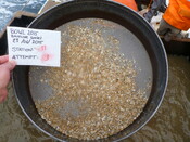 413984 G11C Sieve 1mm.JPG