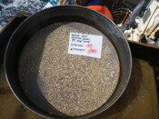 413984 G12C Sieve 1mm.JPG