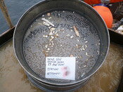 413984 G3A Sieve 5mm.JPG