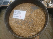 413984 G10C Sieve 1mm.JPG