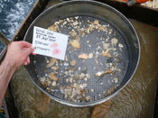 413984 G11C Sieve 5mm.JPG