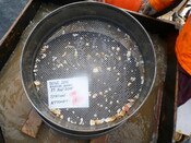 413984 G2A Sieve 5mm.JPG