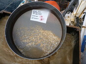 413984 G1A Sieve 1mm.JPG