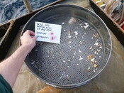 413984 G1A Sieve 5mm.JPG