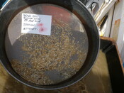 413984 G2B Sieve 1mm.JPG
