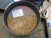 413984 G11A Sieve 1mm.JPG