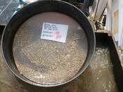 413984 G12A Sieve 1mm.JPG