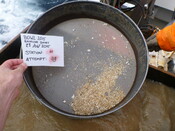 413984 G1C Sieve 1mm.JPG