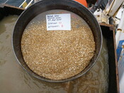 413984 G10B Sieve 1mm.JPG